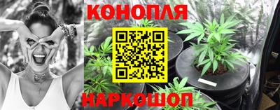 трава Славгород