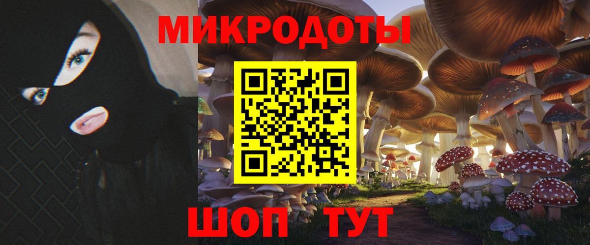 Галлюциногенные грибы Psilocybe Павловский Посад