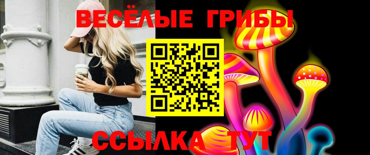 хочу наркоту  Вход с VPN  Псилоцибиновые грибы Magic Shrooms  Павловский Посад  Галлюциногенные грибы прущие грибы 